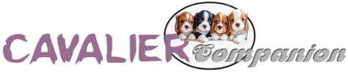 Cavalier Companion